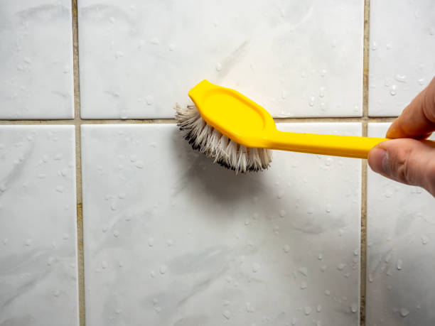 Best Mold Remediation for Specific Building Types in Columbus, WI