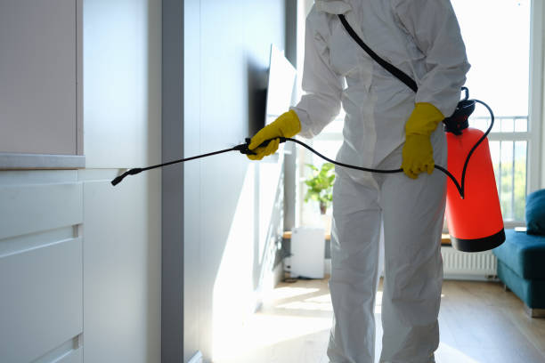 Best Attic Mold Remediation in Columbus, WI