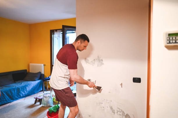  Columbus, WI Mold Removal Pros