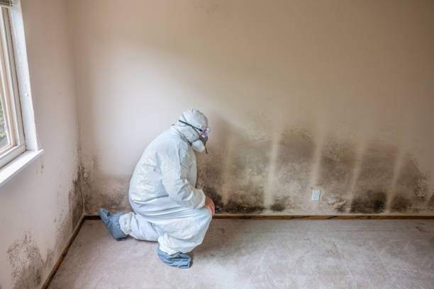 Columbus, WI Mold Remediation Company